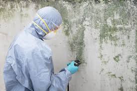 Best Mold Prevention Services  in Chickasaw, AL